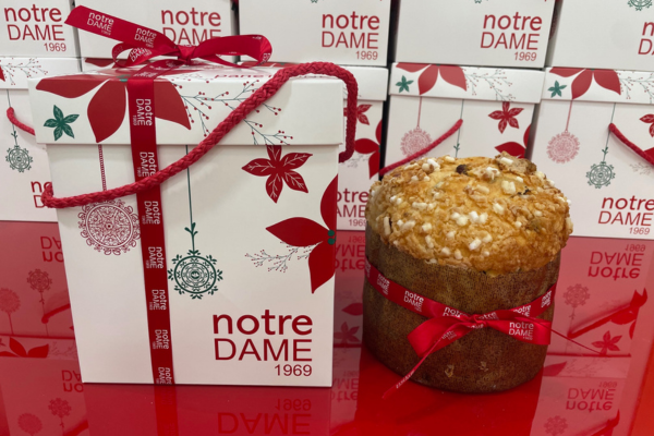 Diseño sin título-227